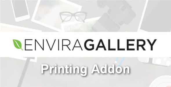 Plugin Envira Printing Addon - WordPress