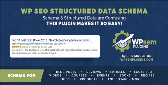 Plugin WP Seo Structured Data Schema Pro - WordPress