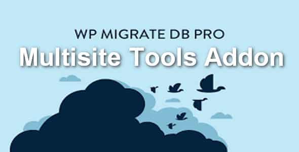 Plugin Wp Migrate Db Pro Multisite Tools Addon - WordPress