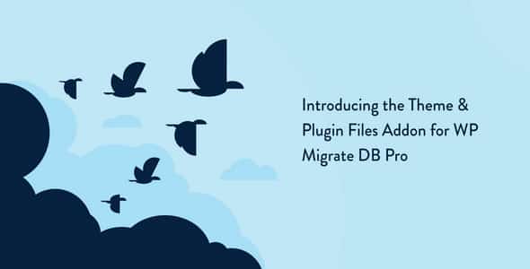 Plugin Wp Migrate Db Pro Theme Plugin Files Addon - WordPress